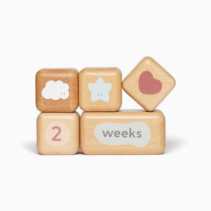 Wooden Baby Milestone Blocks