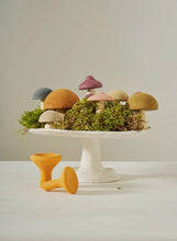 Load image into Gallery viewer, Mushroom Set