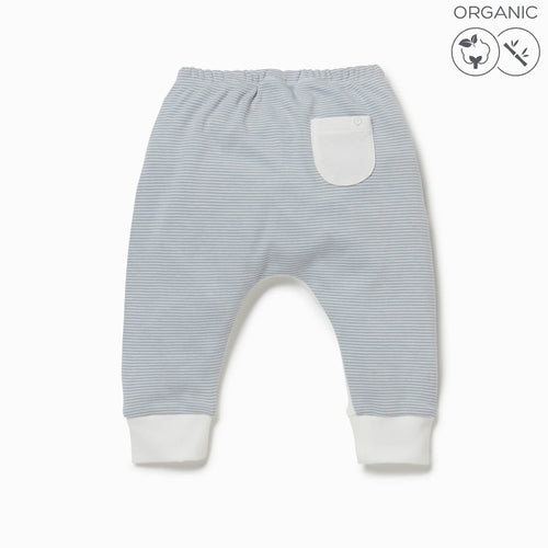 Yoga Pants - Blue (4423121076286)